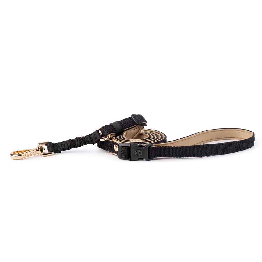DOGISTRY 3-in-1 City Dog Leash - Crosby