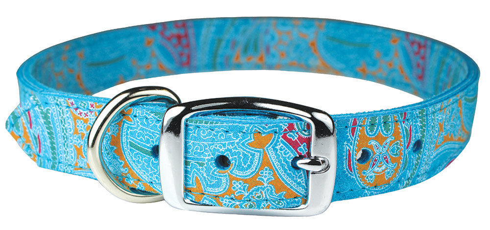 Turquoise Paisley Leather Collection Set HT Animal Supply