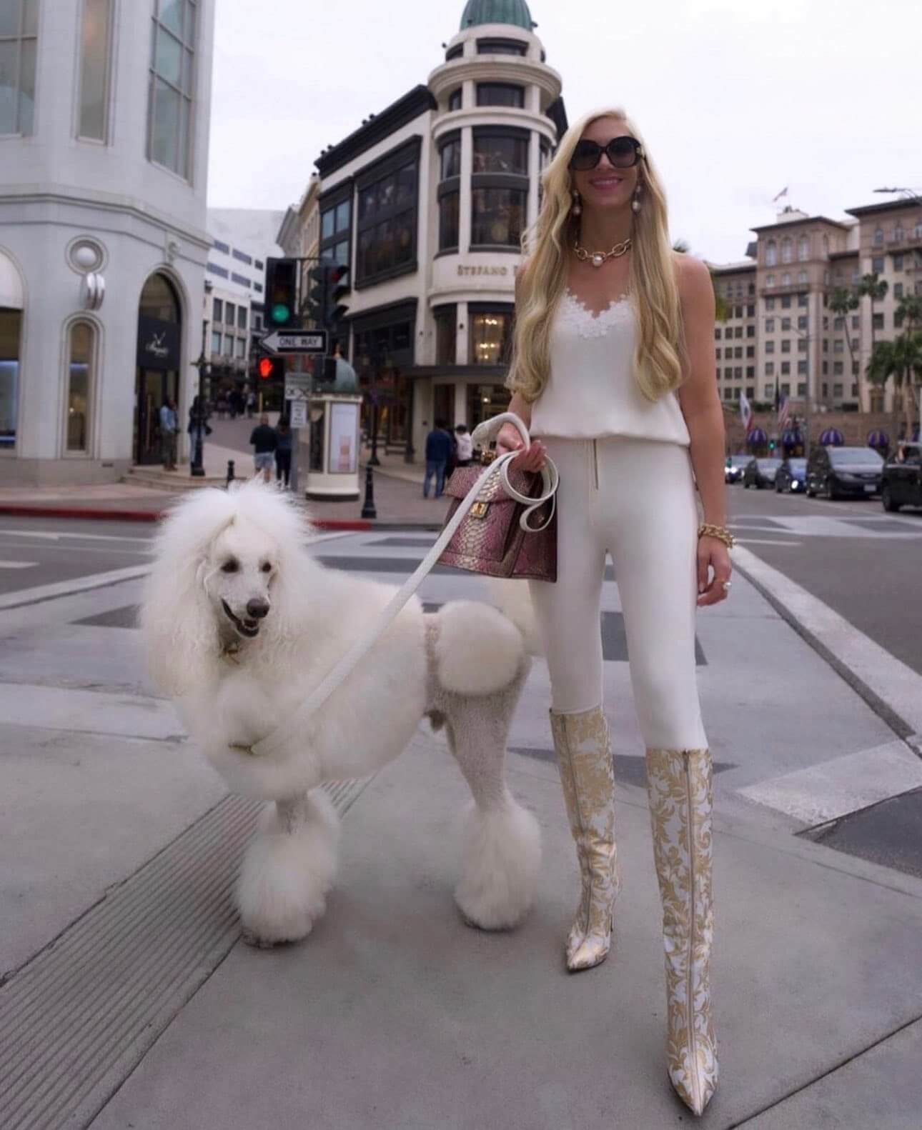 Luxury lifestyle featuring a woman in elegant attire walking a stylish poodle on Beverly Hills streets