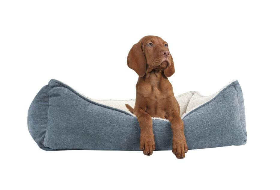 Comfortable dog bed with a puppy lounging on it, perfect for various dog personalities and needs