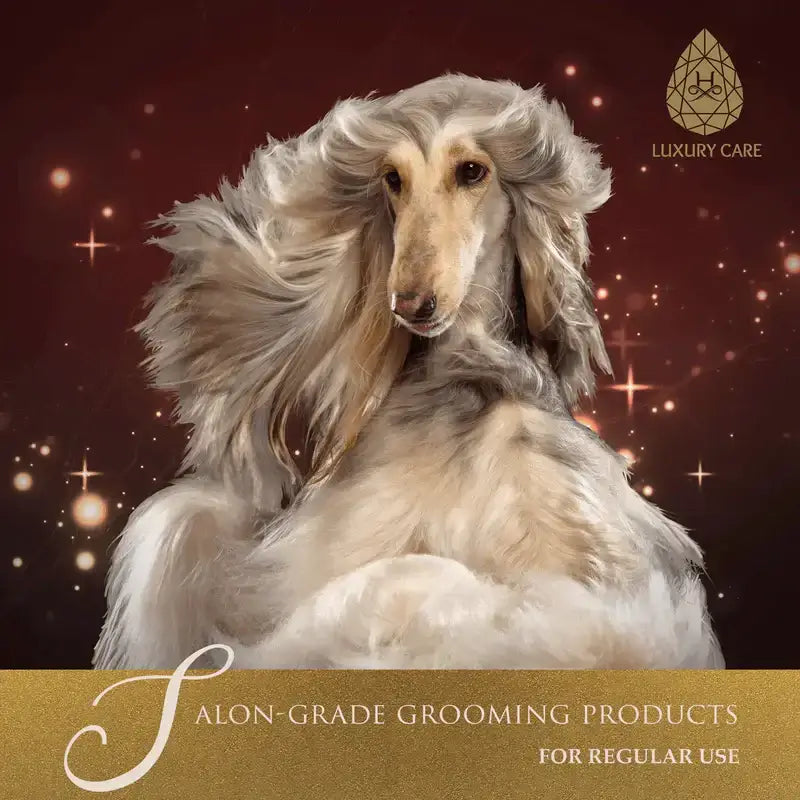 Salon-grade dog grooming products designed for regular use, enhancing your dog's grooming routine