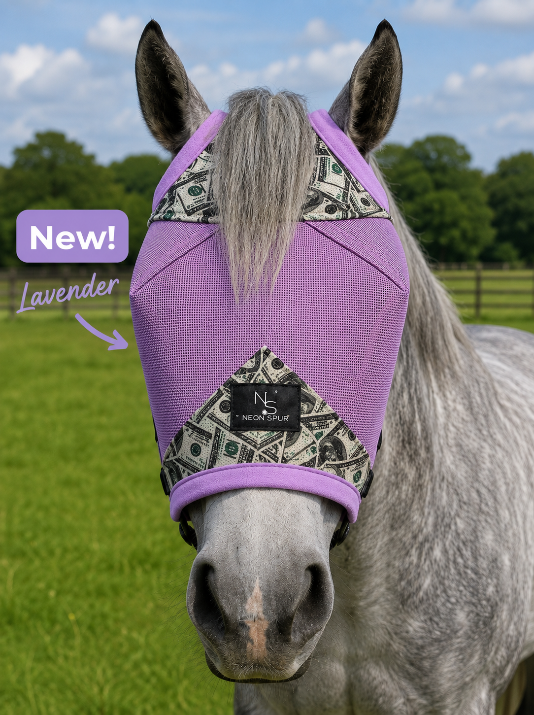 Summer Horse Care Essentials 2026: Fly Masks, Grooming & More