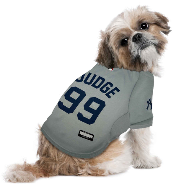 Small dog wearing an Aaron Judge New York Yankees number 99 pet jersey