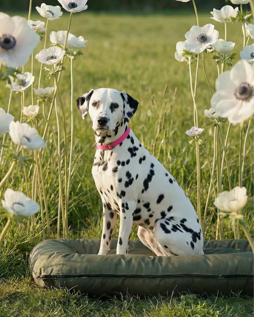 Dalmatian on green waterproof lounger dog bed outdoor durable premium pet bed fast shipping HT Animal Supply