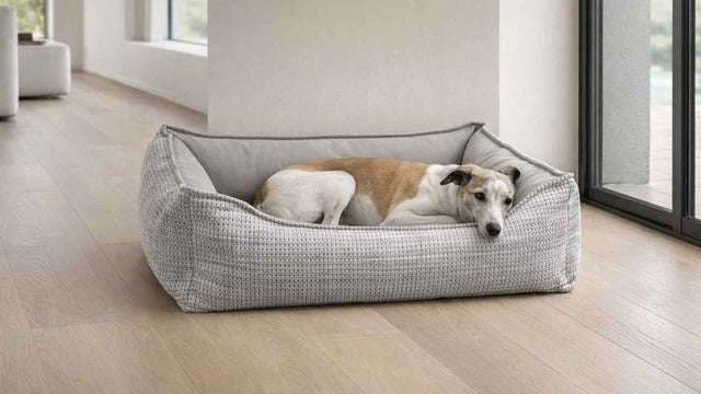 Best Orthopedic Dog Bed | HT Animal Supply 