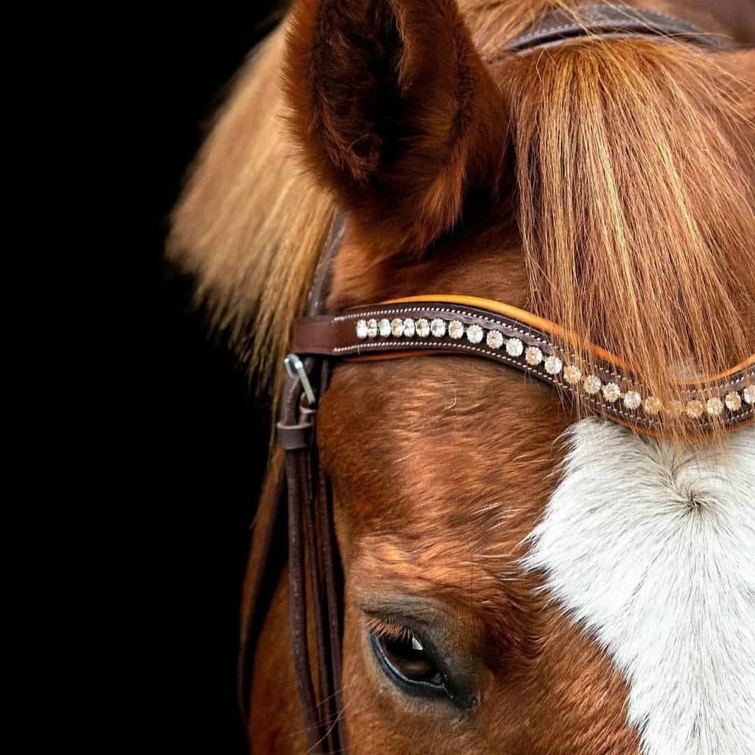 A close-up of a horse wearing a luxury crystal-encrusted browband and premium leather bridle from HT Animal Supply.