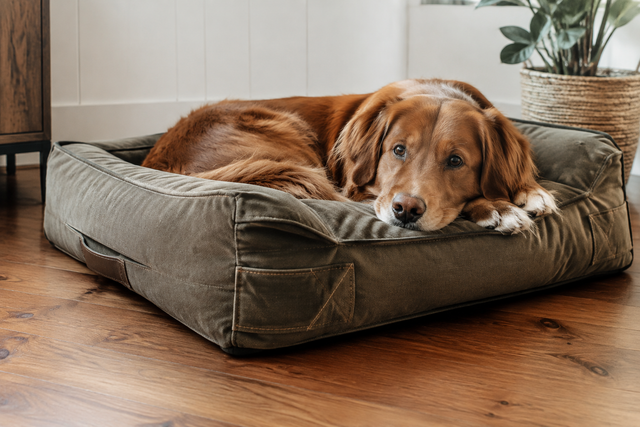 Durable canvas dog bed with reinforced stitching on a hardwood floor