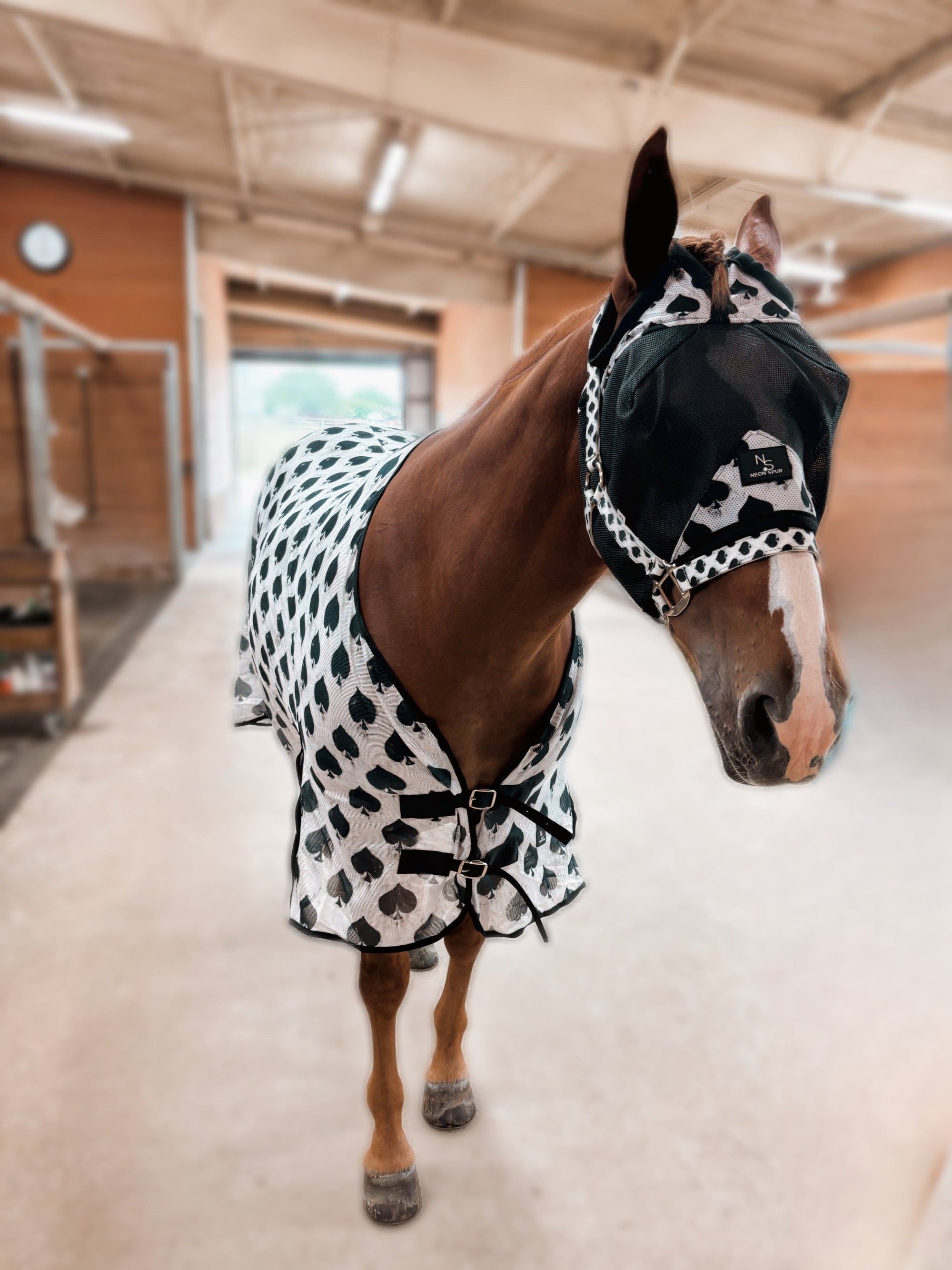 How to Choose a Horse Fly Mask: Protection, Fit & Style