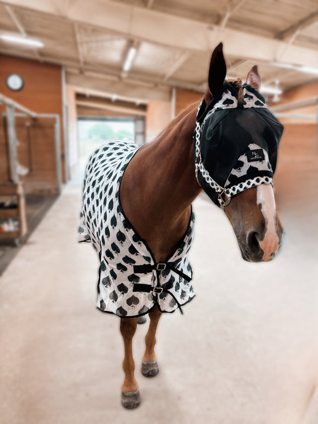 How to Choose a Horse Fly Mask: Protection, Fit & Style