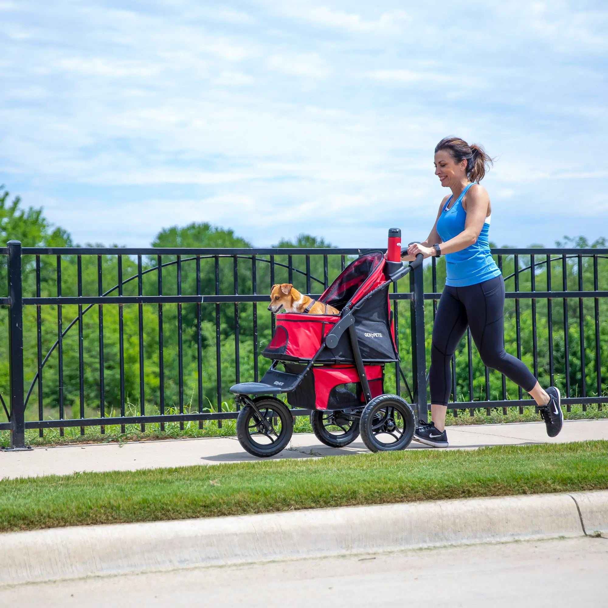 Pet Strollers: Benefits, Buying Guide, and Top Picks for Your Furry Friend