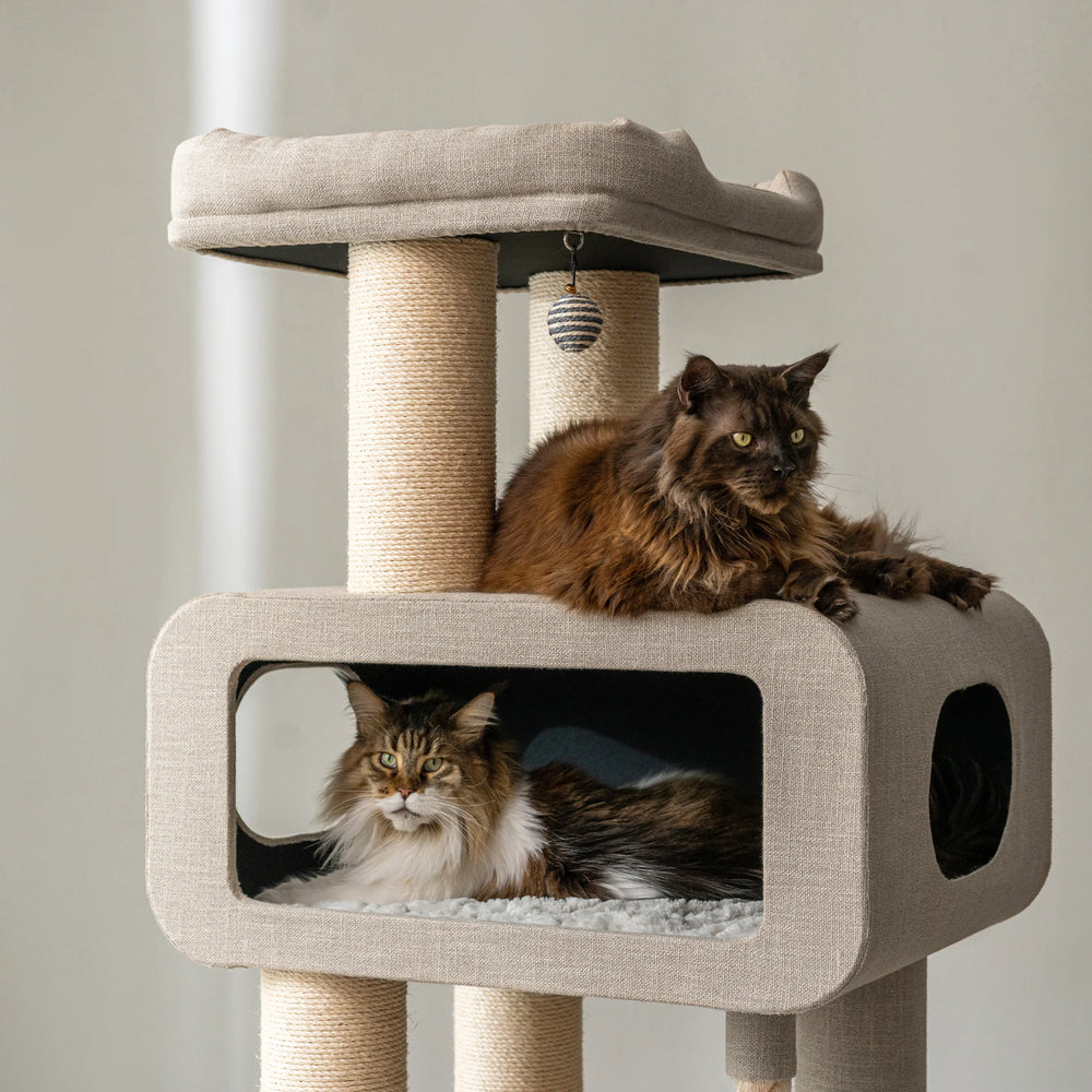 A cat lounging on a modern, multi-level cat tree next to a scratching post, illustrating the indoor enrichment available at HT Animal Supply.