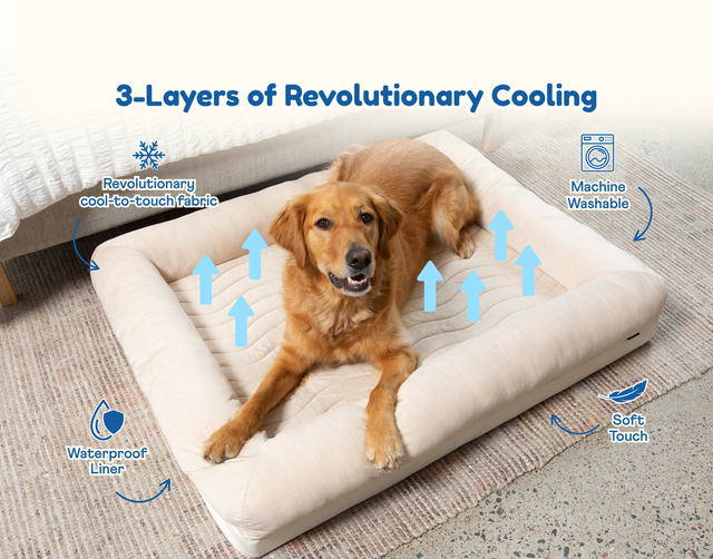 Best Cooling Dog Beds for Summer 2026