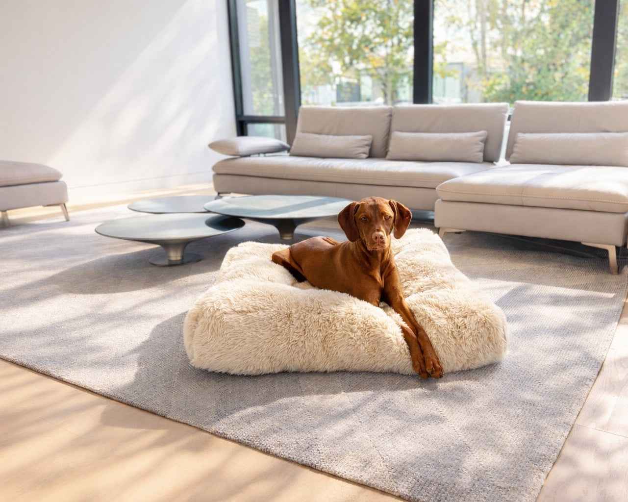 Premium plush dog bed available at HT Animal Supply