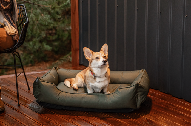 A Corgi dog relaxing on a green HT Animal Supply Waterproof Sleeper dog bed on an outdoor wooden deck. The bed's durable Oxford fabric and bolster design are shown in a rustic outdoor setting.
