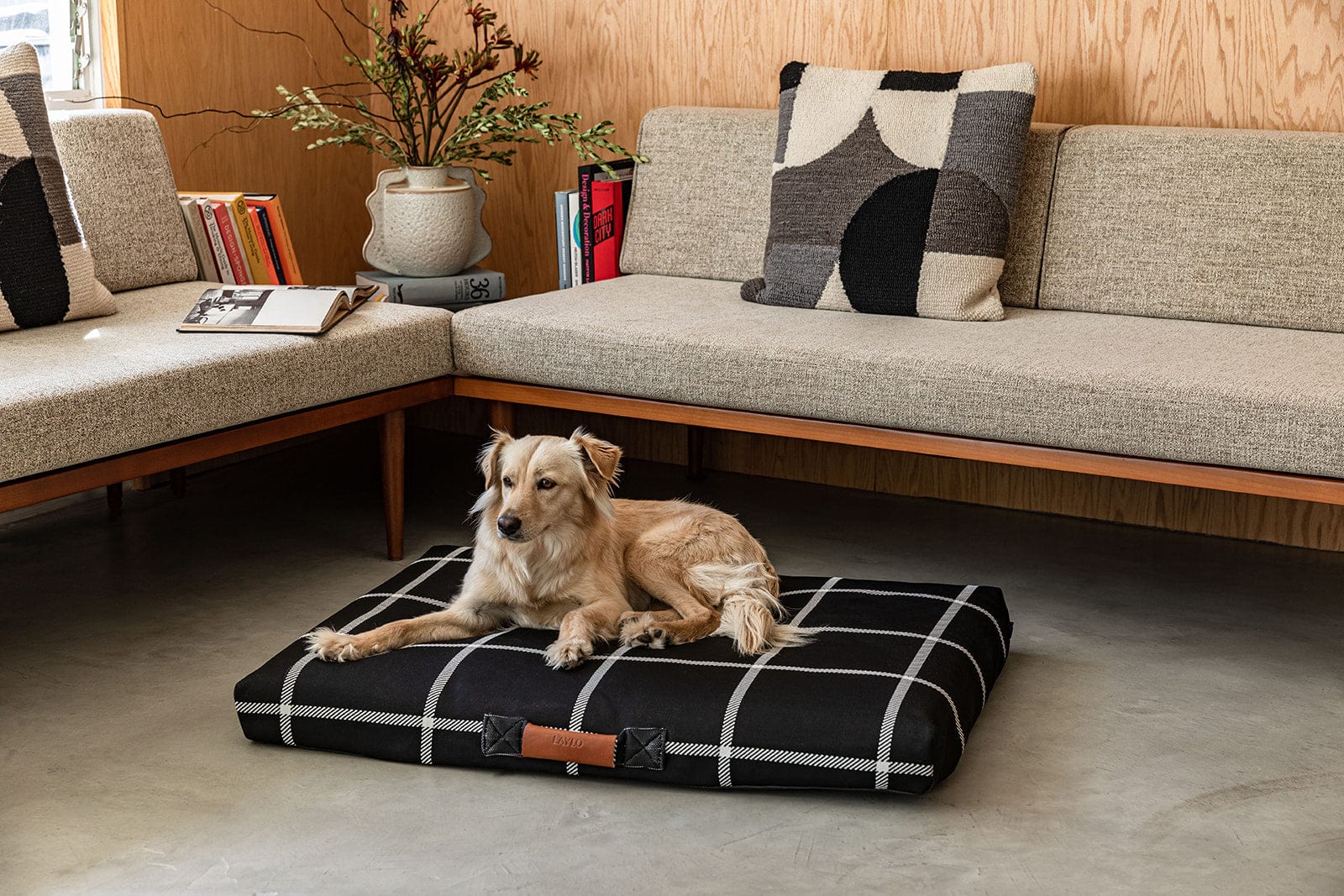 The Ultimate Guide to Choosing the Perfect Dog Bed: From Cashmere Luxury to Everyday Comfort