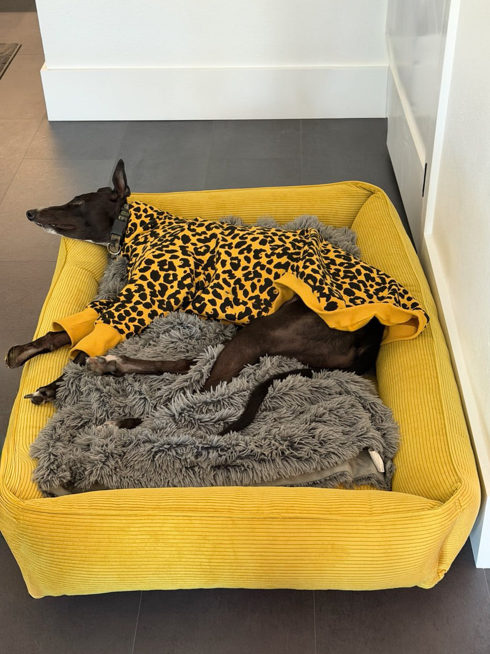 Luxury Dog Beds: The Ultimate Guide to Comfort and Durability