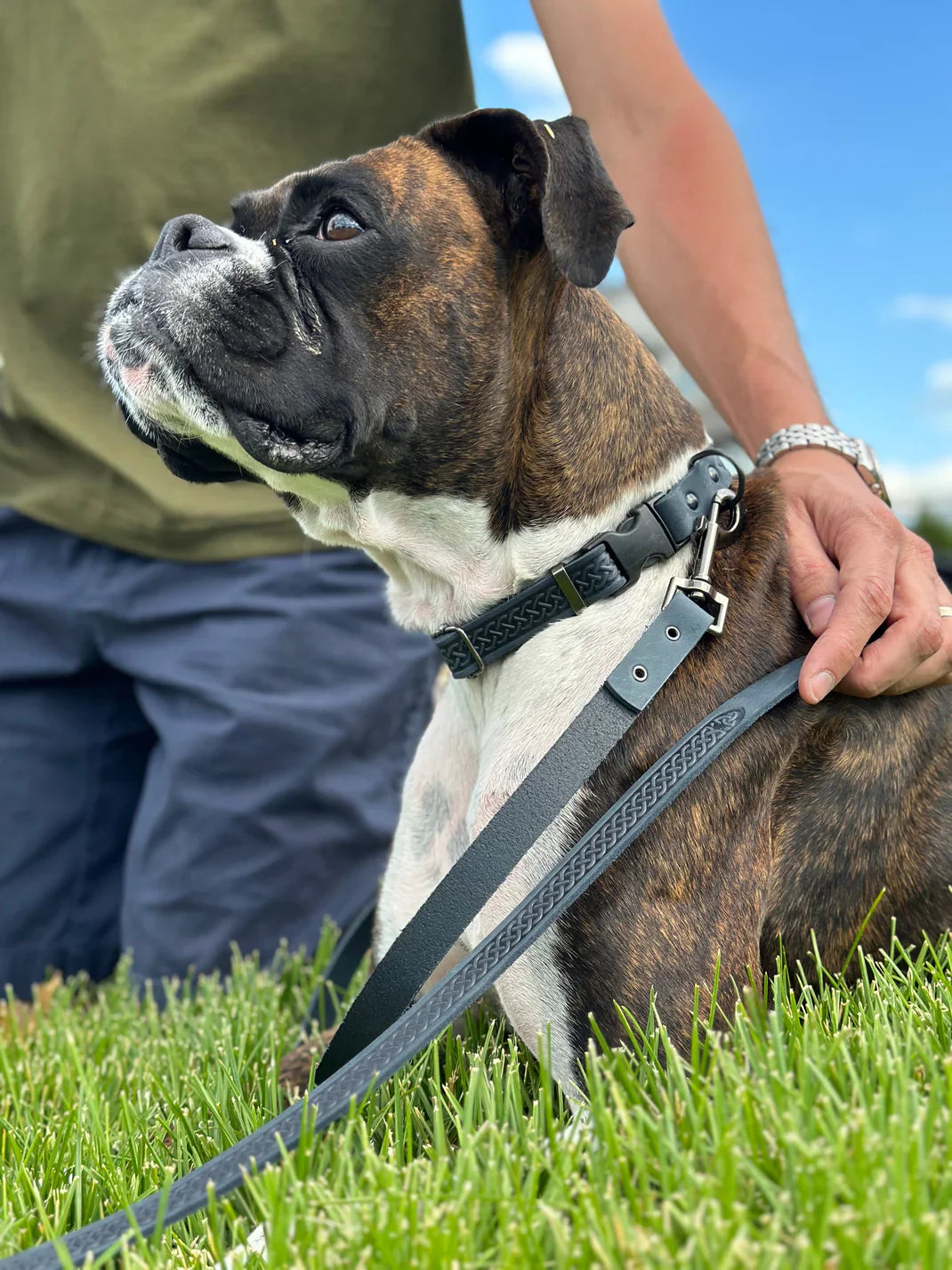 Euro Dog collection featuring durable dog collars, leashes, harnesses, and stylish pet accessories