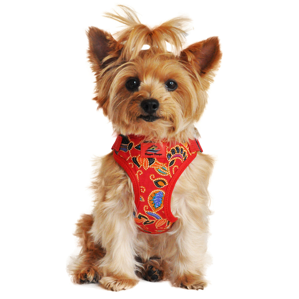 Doggie Design, Inc collection featuring stylish dog apparel, harnesses, collars, and pet accessories