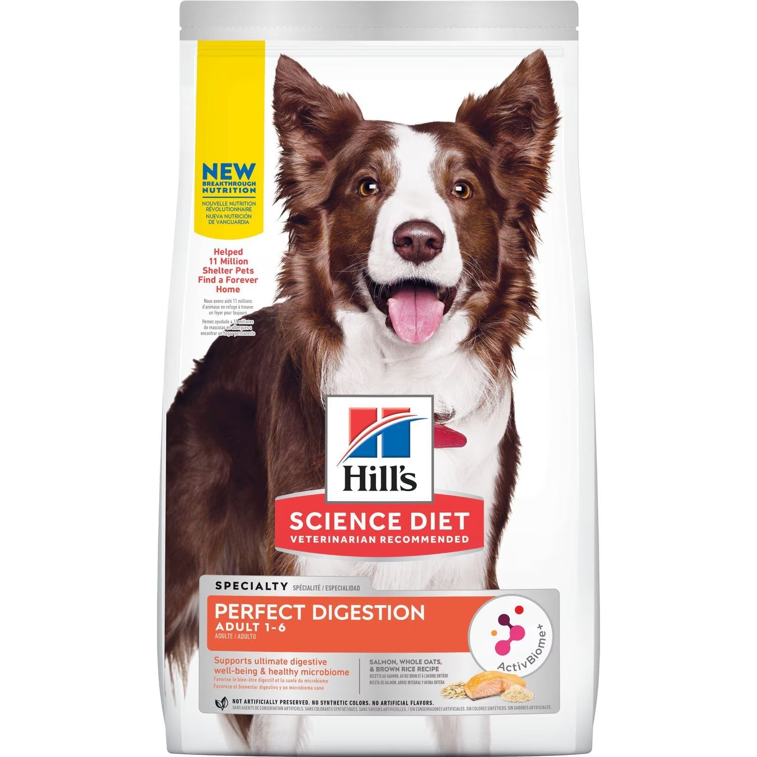 Hill's Science Diet pet food collection featuring veterinarian-recommended dog and cat food formulated for balanced nutrition