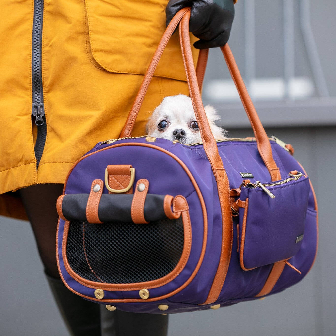 MERIKH collection featuring modern pet accessories including collars, leashes, and stylish everyday pet essentials