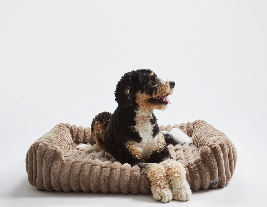 Jax & Bones | HT Animal Supply