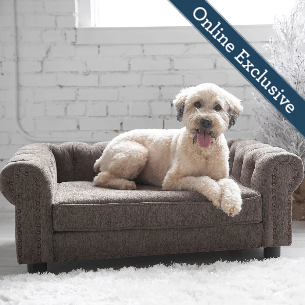 Dog resting on a plush grey sofa-style bed from HT Animal Supply