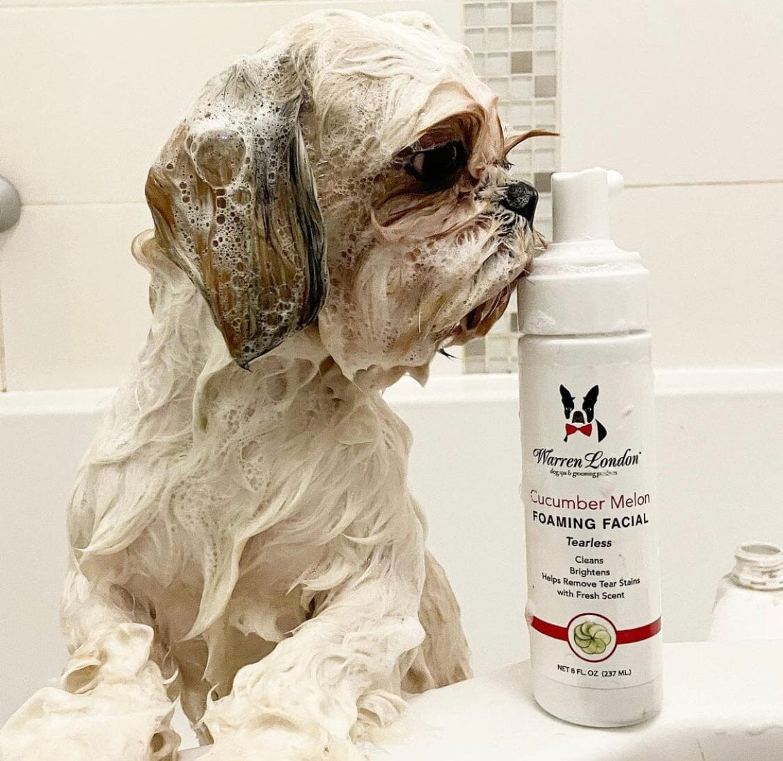Warren London collection featuring premium pet grooming products including shampoos, conditioners, and paw care treatments