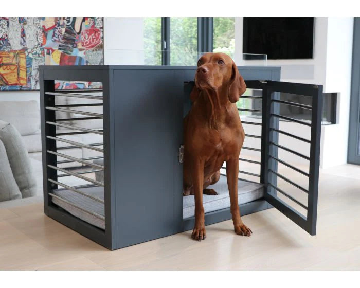 Bowsers Pet Products collection featuring luxury dog beds, pet furniture, and stylish home decor for pets