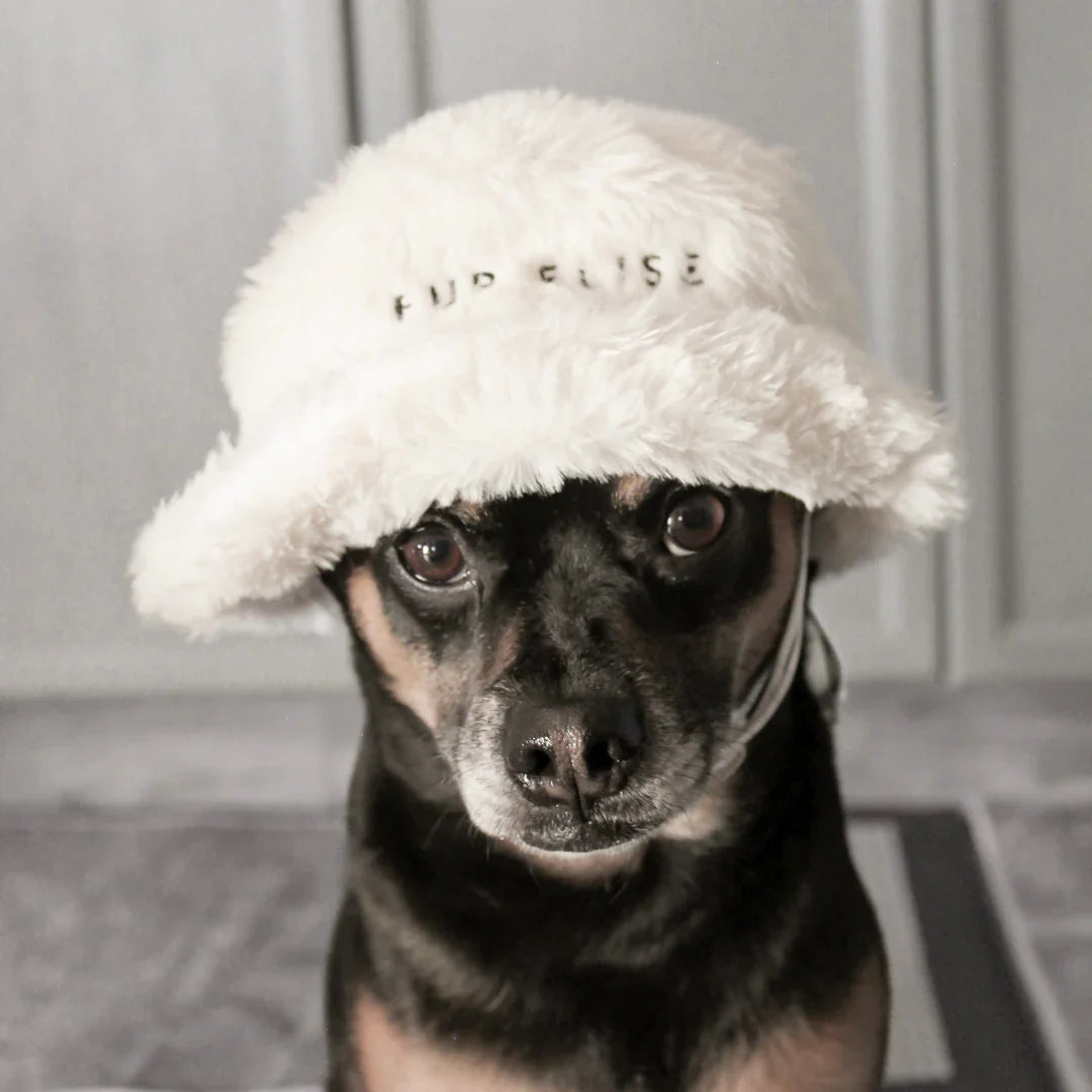 Luxury pet collars, leashes, and accessories from Fur Elise Pets at HT Animal Supply