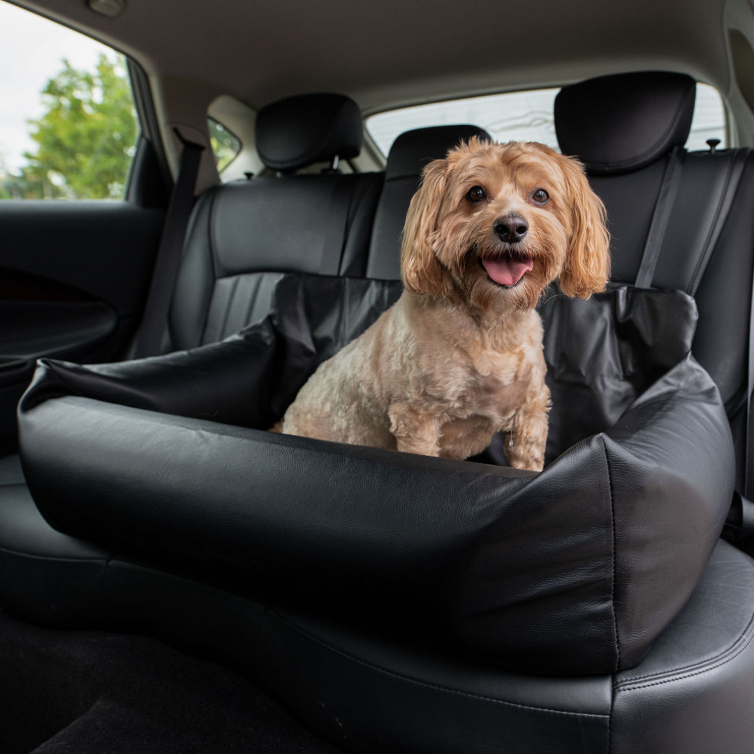 Paw Brands collection featuring premium dog beds, calming pet products, and innovative pet accessories