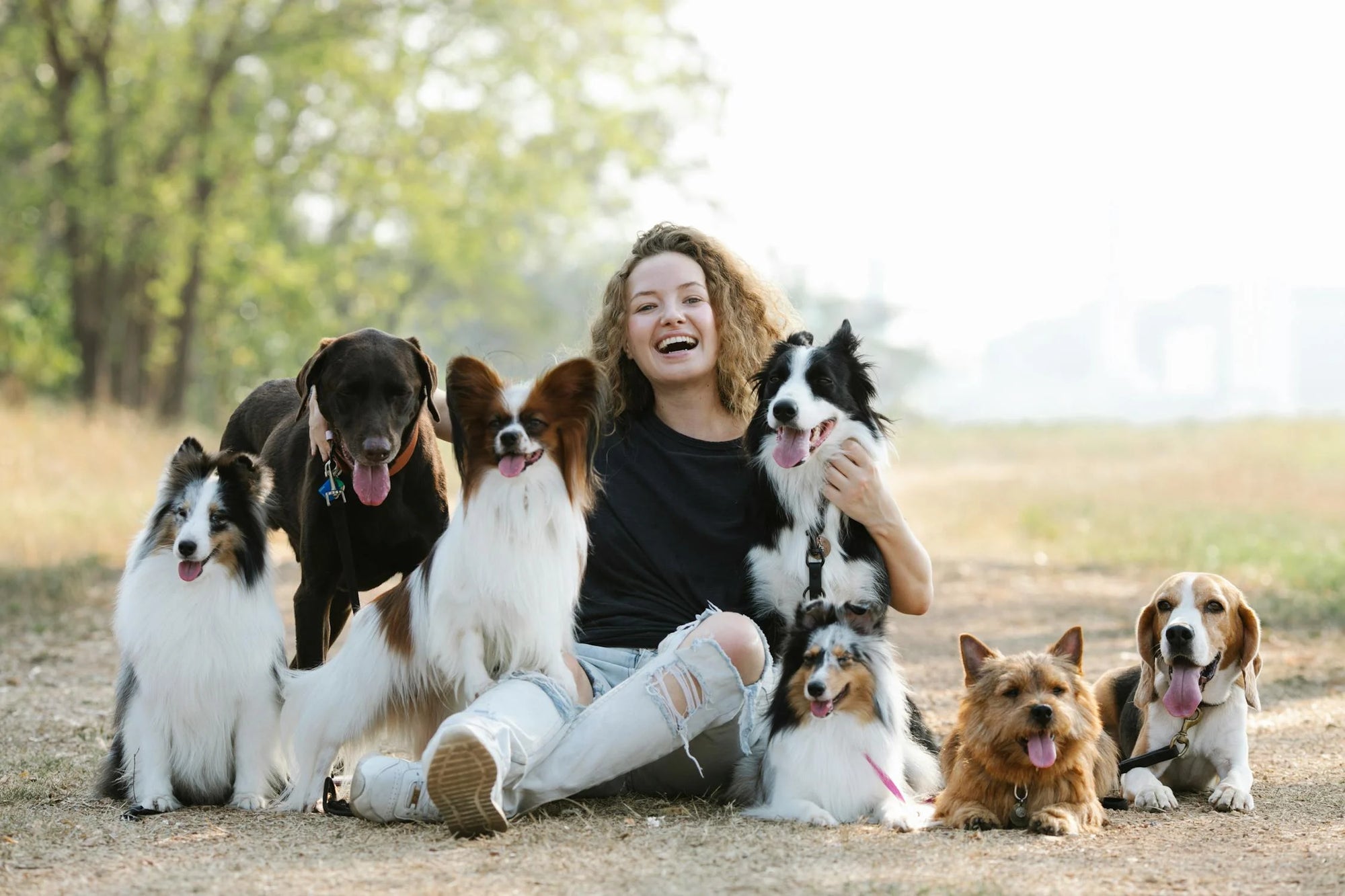 Customer-favorite pet products curated for pet parents at HT Animal Supply