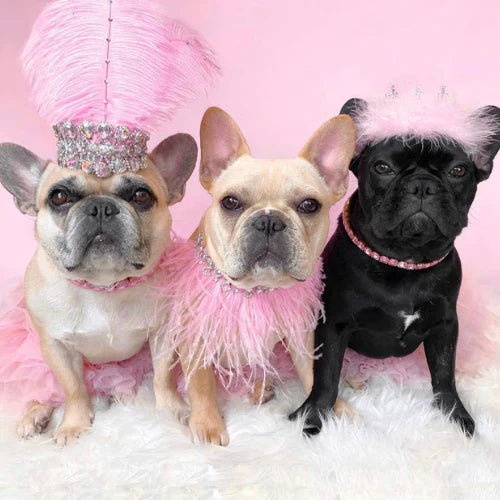 Bark 5th Ave., LLC | HT Animal Supply