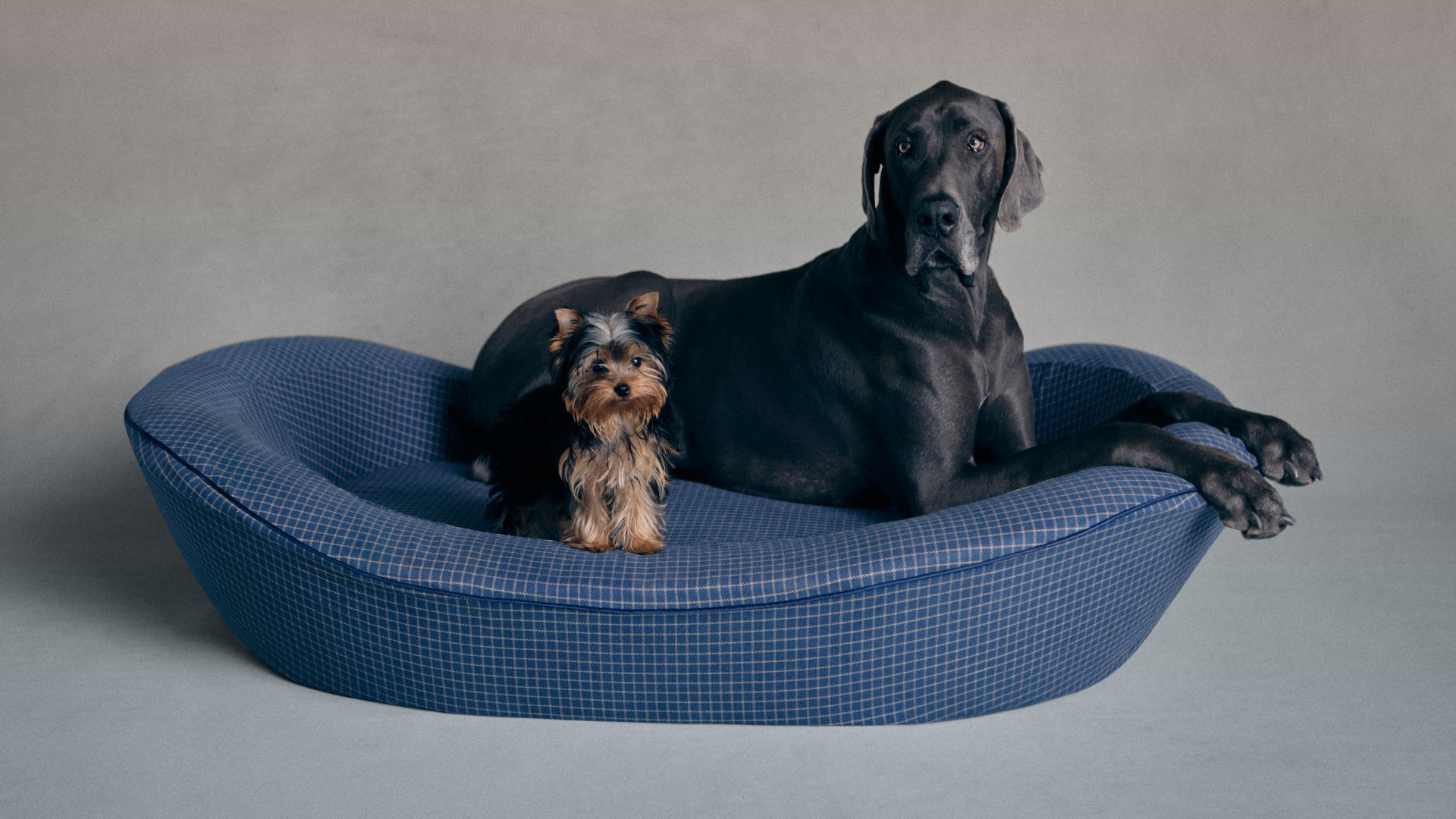 Enid Blythe orthopedic dog bed with woven fabric cover, plush bolster sides, and supportive foam base for comfortable pet sleep
