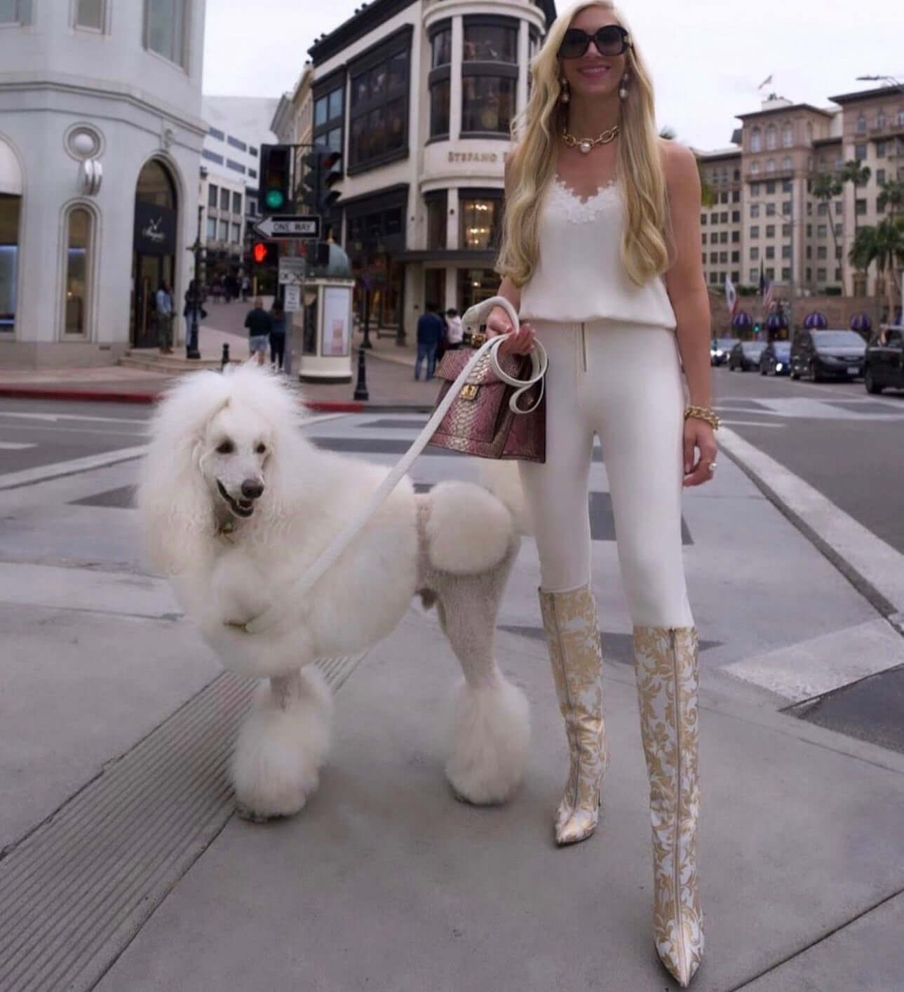 Stylish woman in Beverly Hills walking her poodle with luxury designer dog collar and accessories
