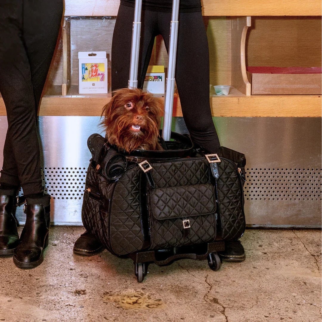 A Pet with Paws | HT Animal Supply