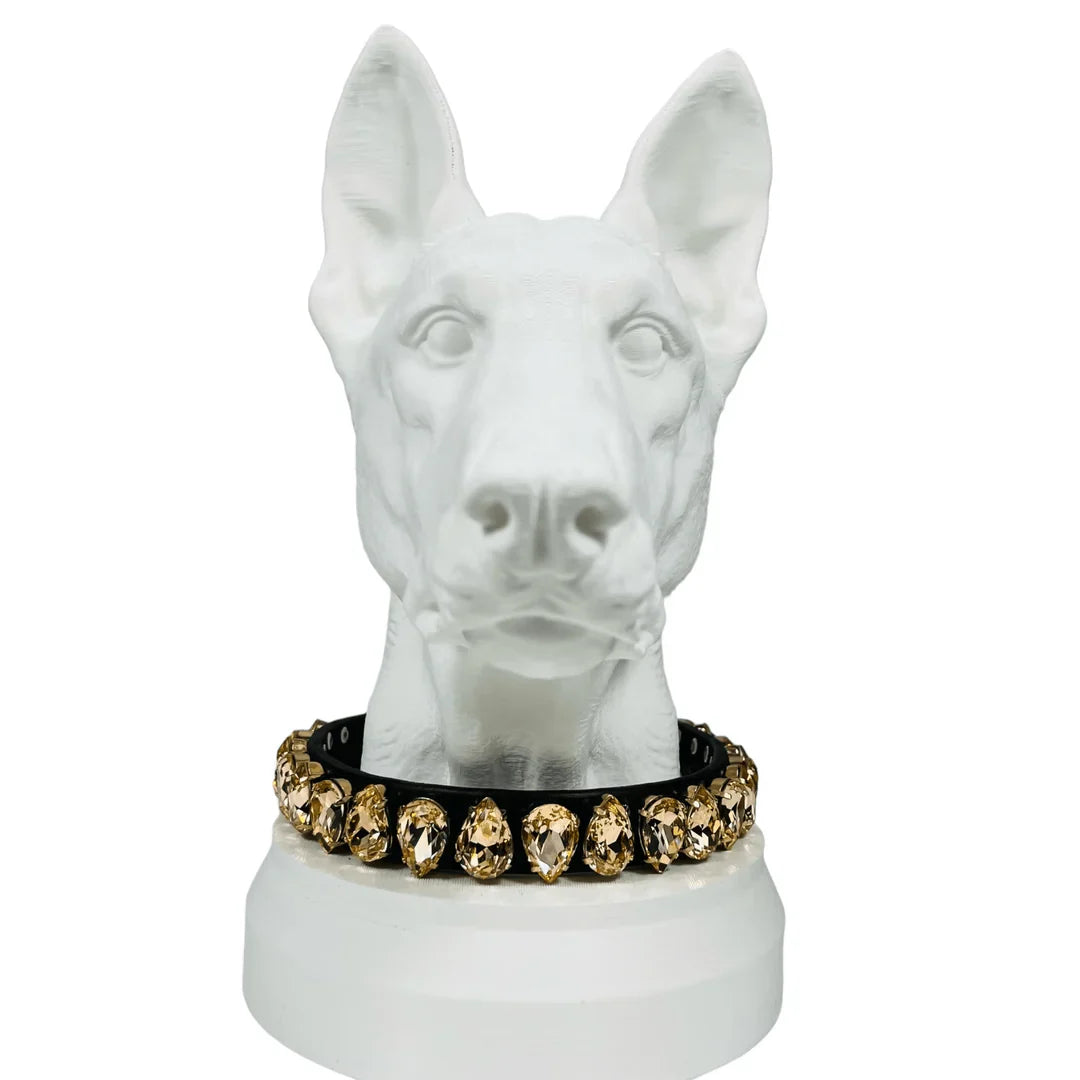 Luxury Collars | HT Animal Supply 