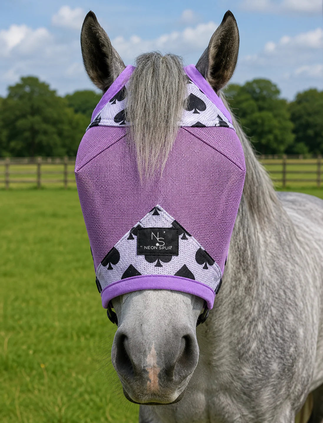Horse wearing a breathable purple Neon Spur fly mask with UV protection and insect defense for lasting comfort during turnout | HT Animal Supply