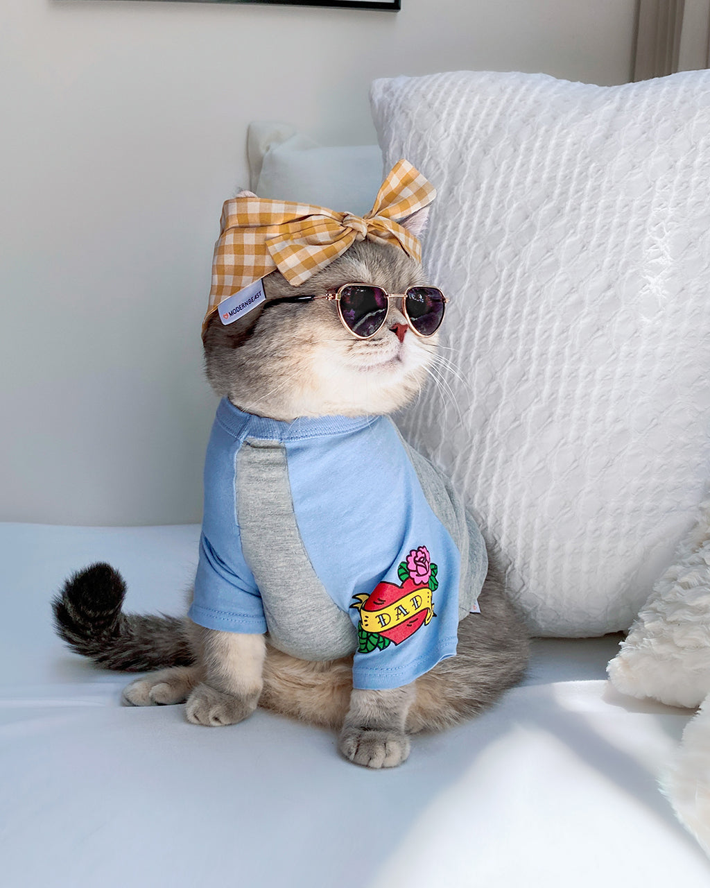 MODERNBEAST eco-friendly pet toys and apparel from HT Animal Supply