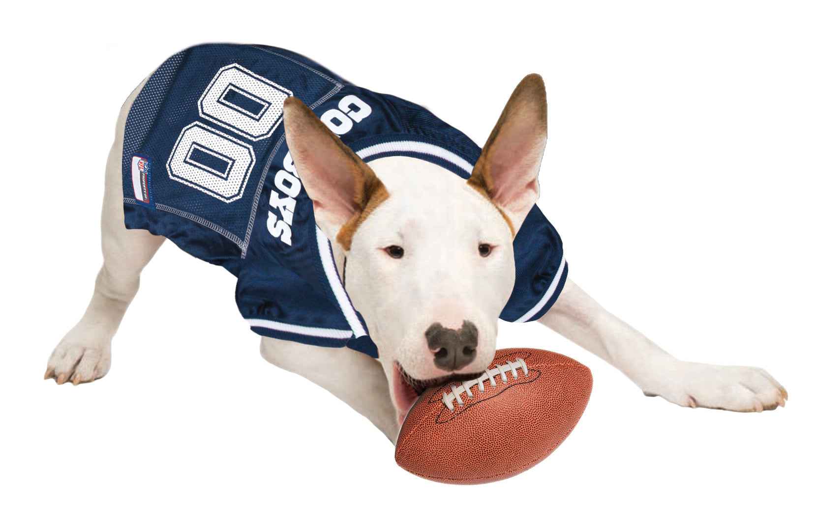 Dog Wearing a Pets First NFL Dallas Cowboys Mesh Pet Jersey | HT Animal Supply 