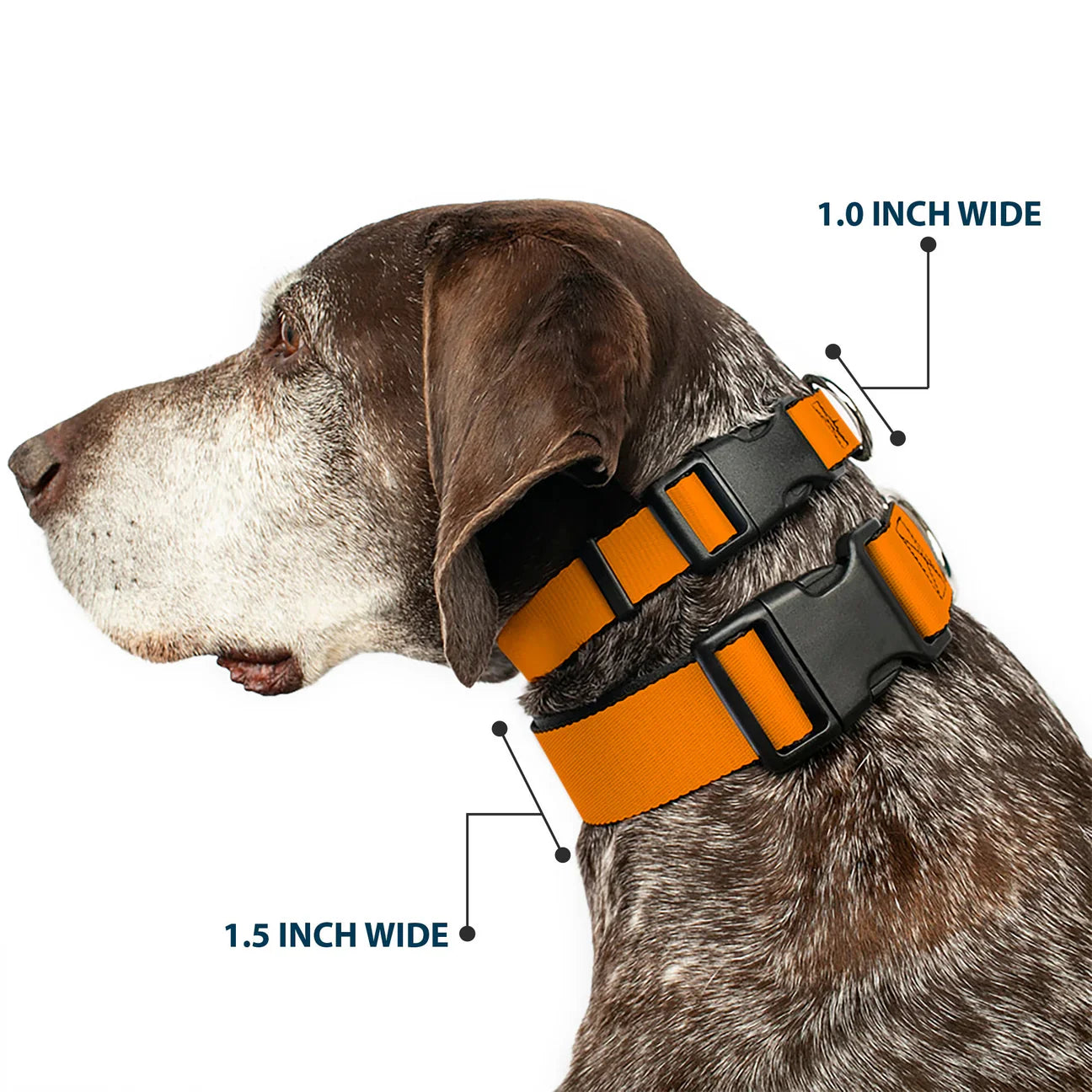 Plastic clip dog collars with quick-release buckles from HT Animal Supply