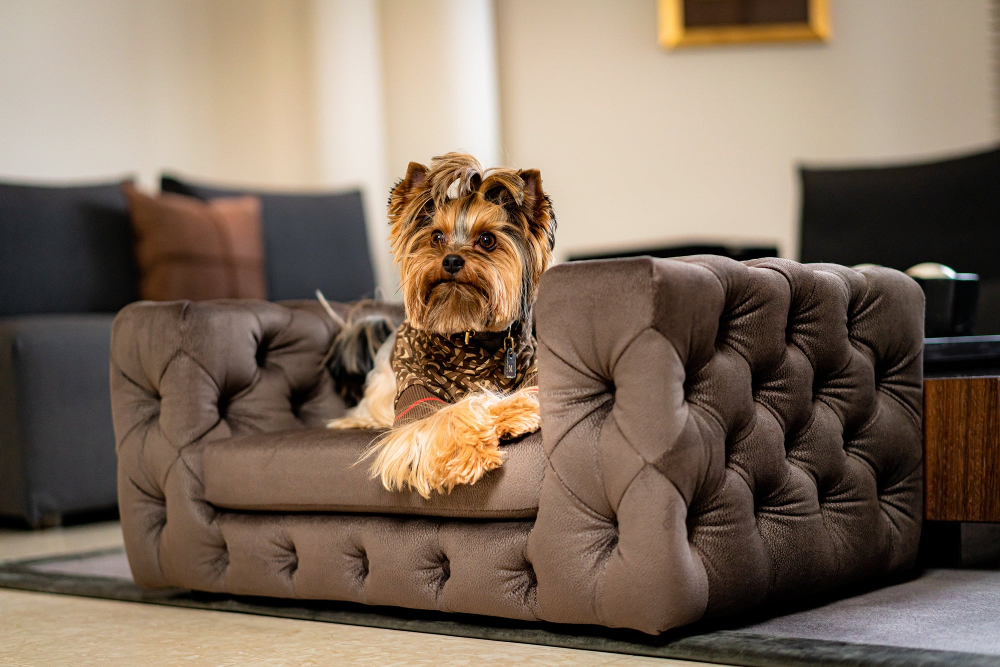 Pet Empire luxury pet beds and accessories collection featuring premium dog beds and stylish home pet essentials