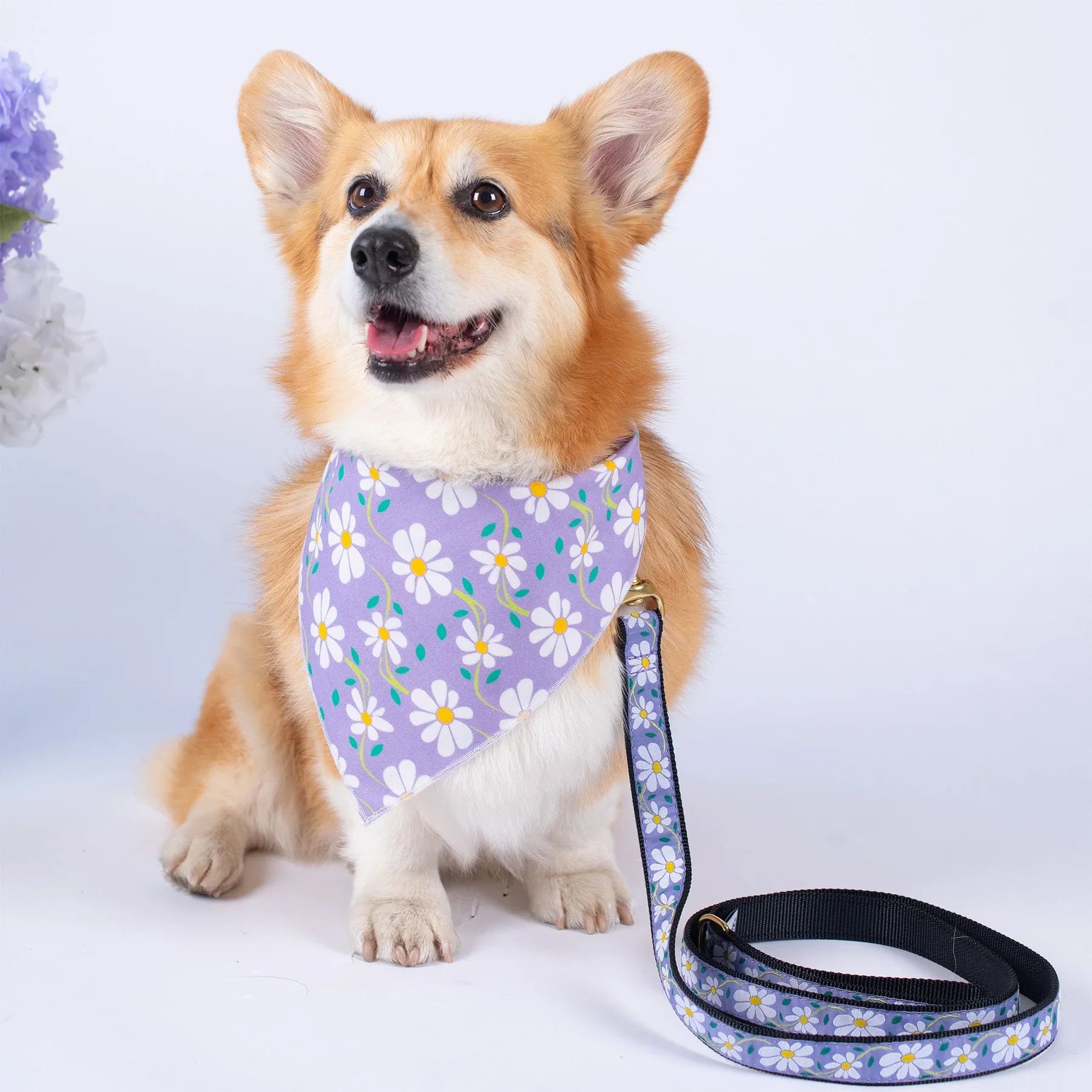 Dog wearing a stylish patterned bandana from HT Animal Supply