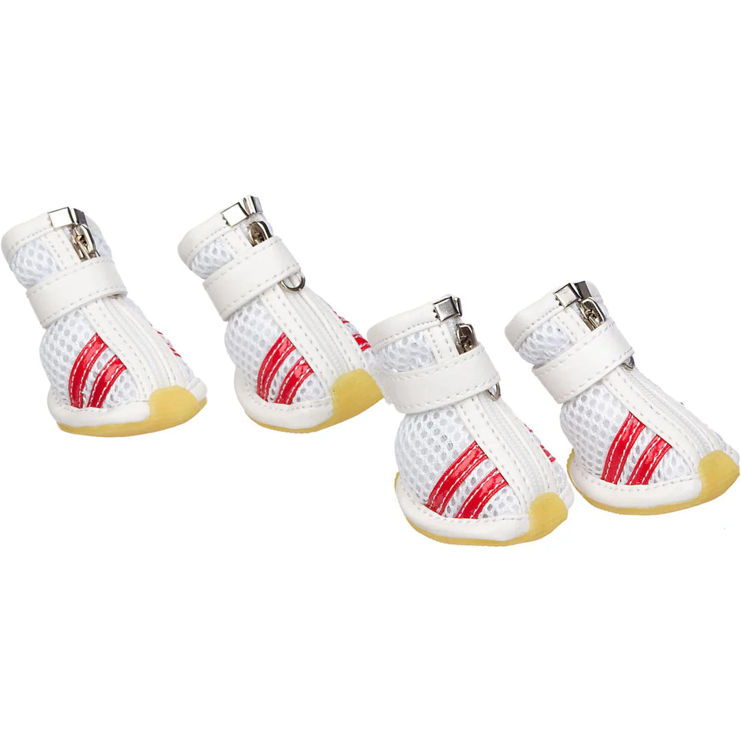 All-season dog footwear in fashionable colors