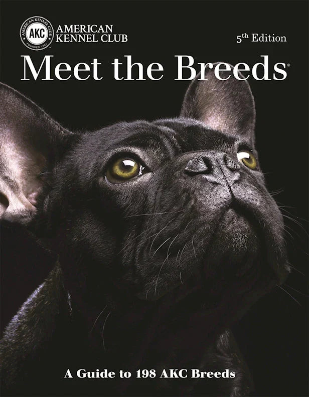 Fox Chapel Publishing collection featuring educational books, craft guides, and pet care resources for families and pet lovers