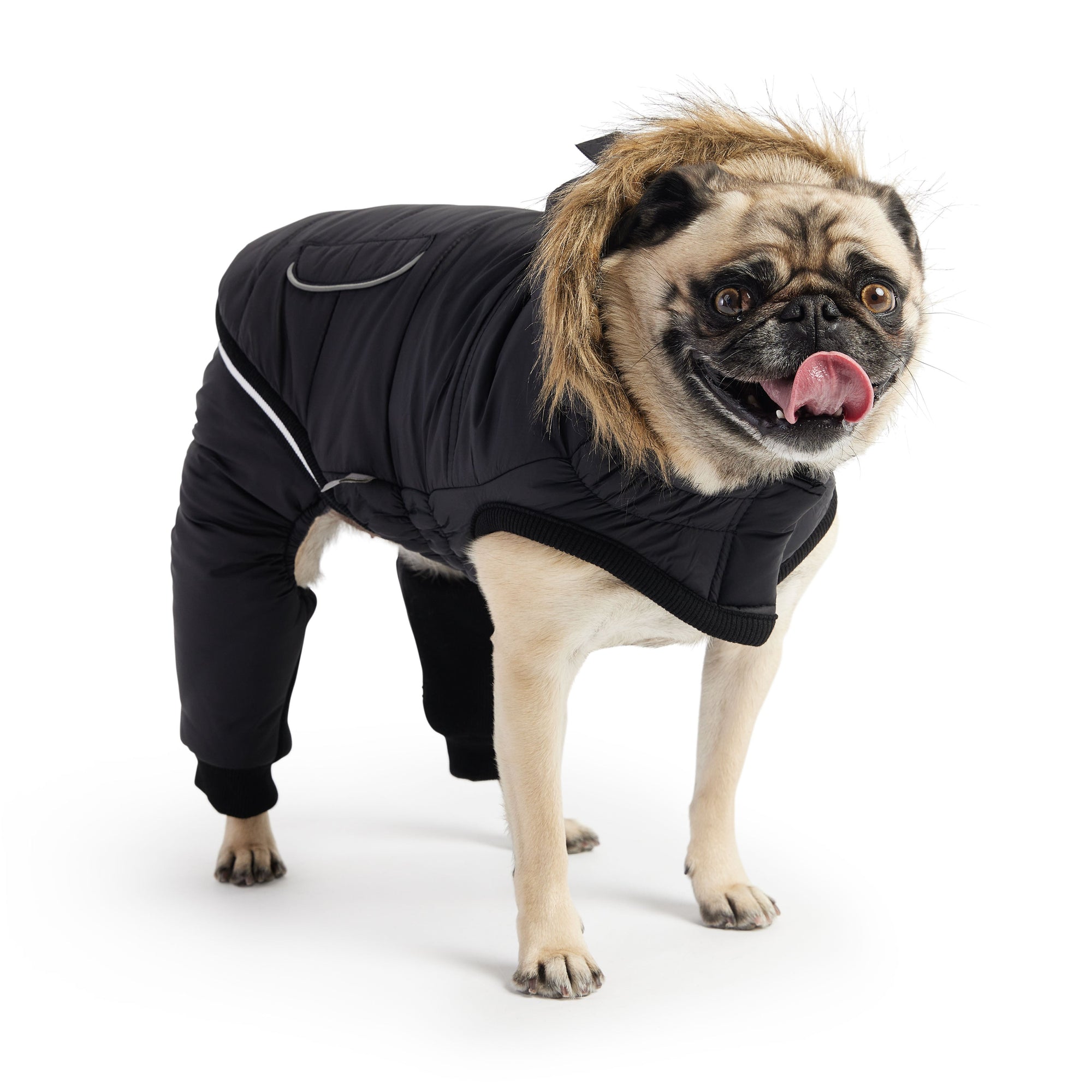 GF Pet collection featuring stylish dog apparel, jackets, raincoats, harnesses, and premium pet accessories