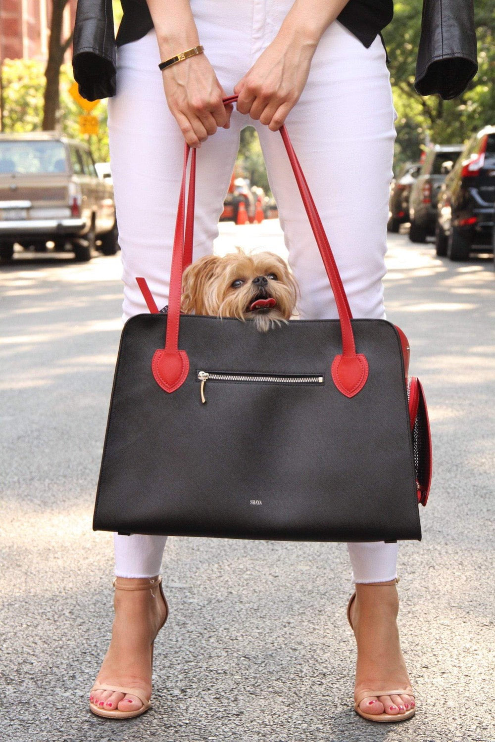 Shaya collection featuring luxury dog collars, pet apparel, and designer pet accessories