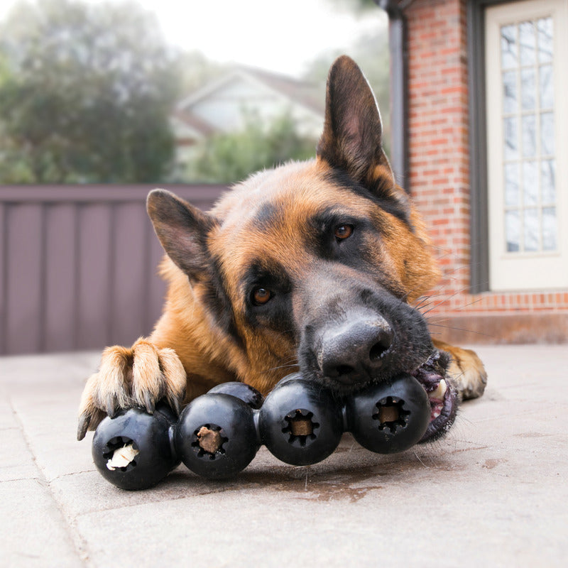 KONG pet products collection featuring durable dog toys, chew toys, and interactive treat-dispensing toys