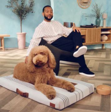 LAY LO Pets | HT Animal Supply