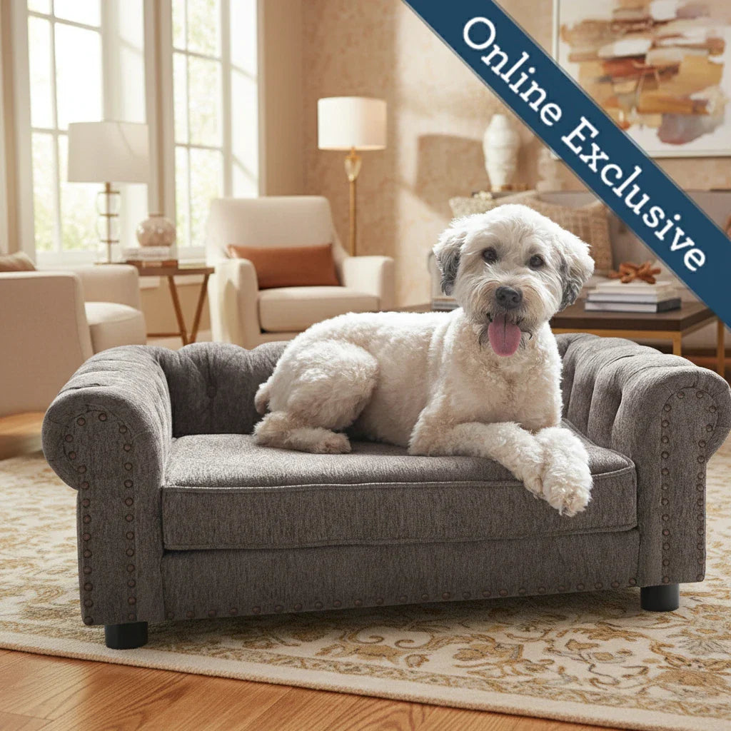 Petmate collection featuring La-Z-Boy pet beds, pet strollers, carriers, crates, and everyday pet care products
