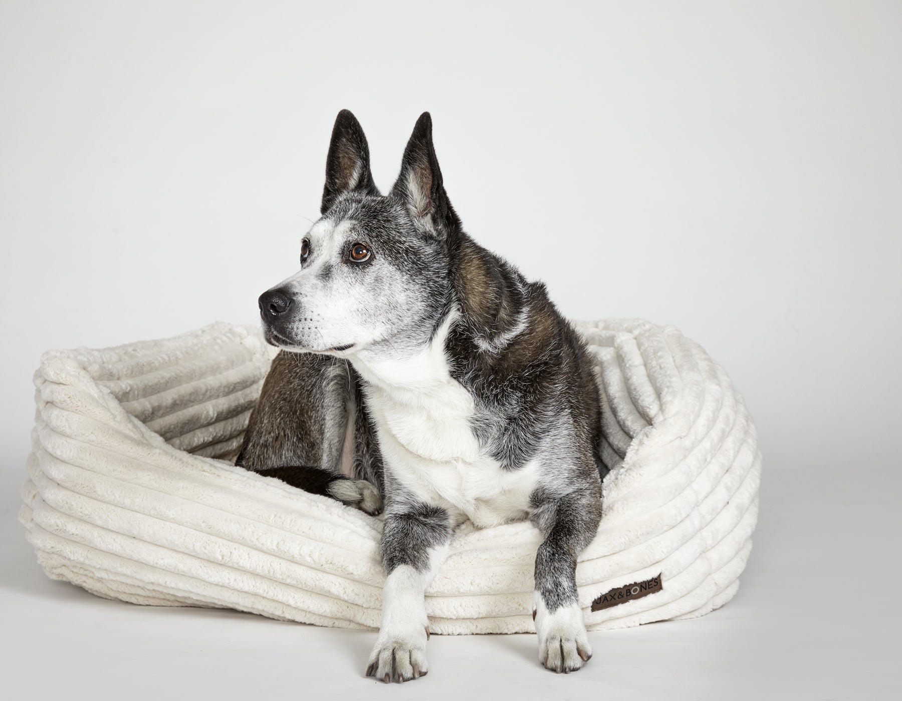 Durable corduroy dog bed by Chester & Lee in earthy tones for medium to large dogs